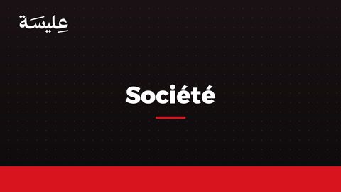 Le professeur arabe rappelle aux manifestants leur droit constitutionnel d'être interdits d'entrer dans la capitale.