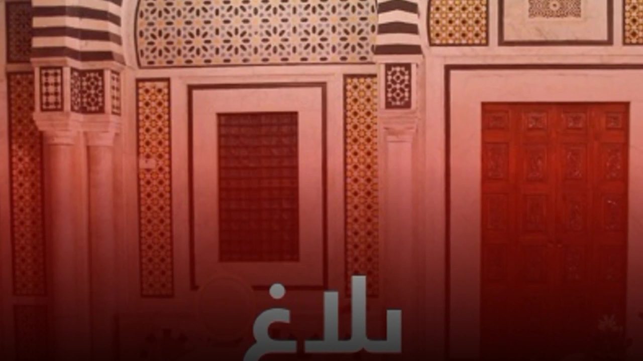 توزيع عملة الدفعة الأولى من الحضائر على المراكز الشاغرة