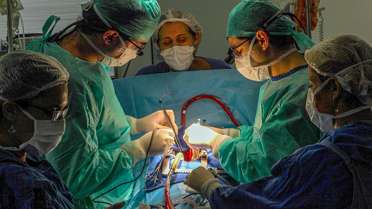 تونس تحيي اليوم الوطني للتحسيس بالتبرع بالأعضاء