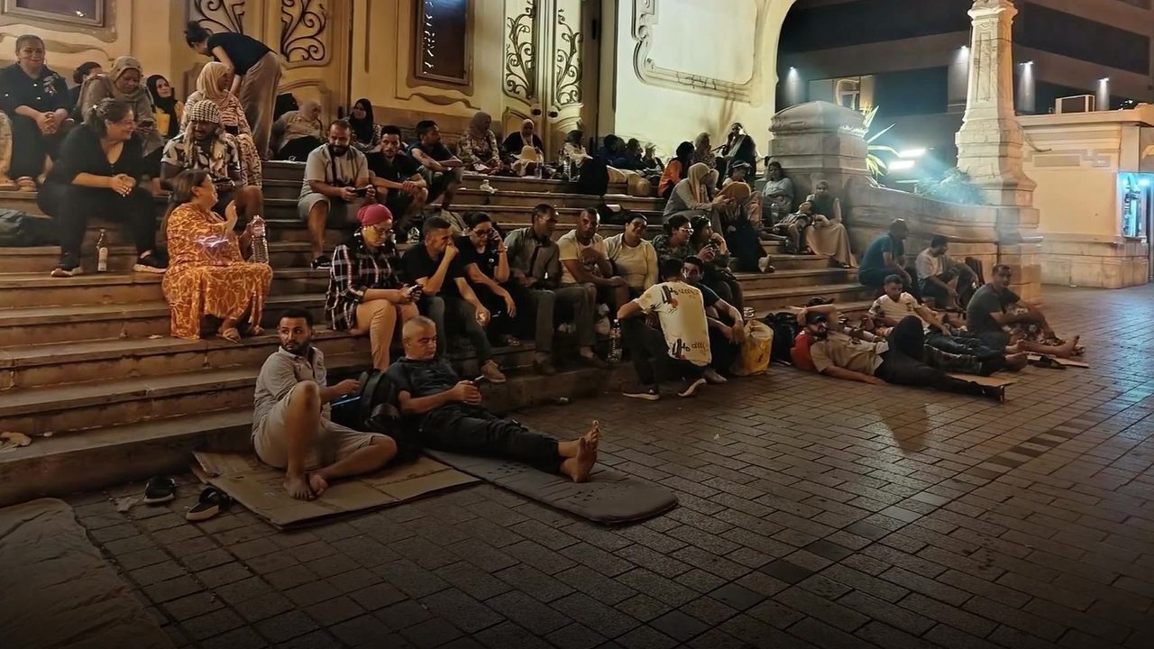المنستير وسيدي بوزيد تطلقان موسم جني الزيتون