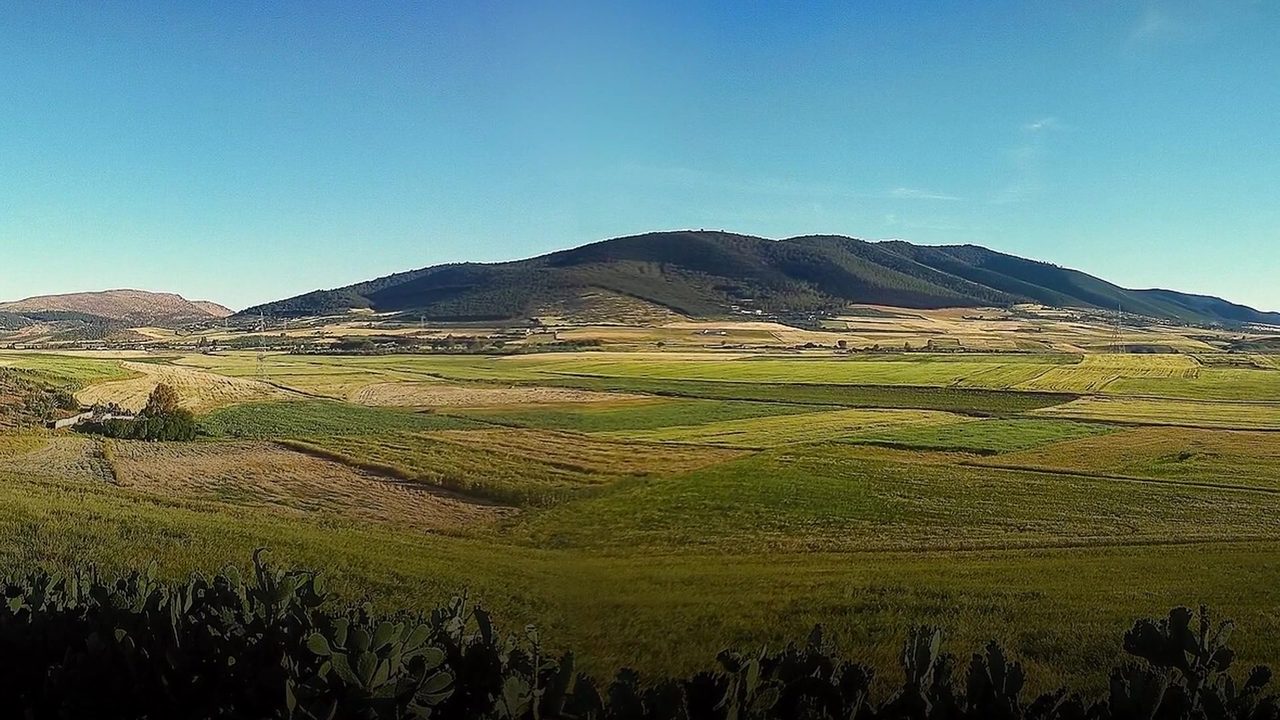 Le ministère de l'Agriculture lance un plan d'urgence pour renforcer l'approvisionnement en eau