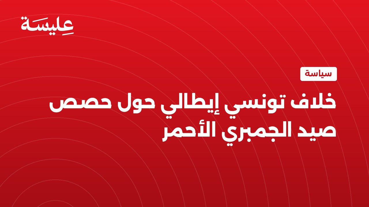 خلاف تونسي إيطالي حول حصص صيد الجمبري الأحمر