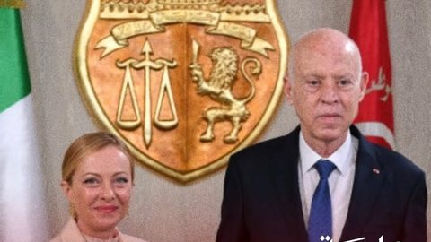 Un député européen mène une campagne pour arrêter les exportations d'huile d'olive tunisienne