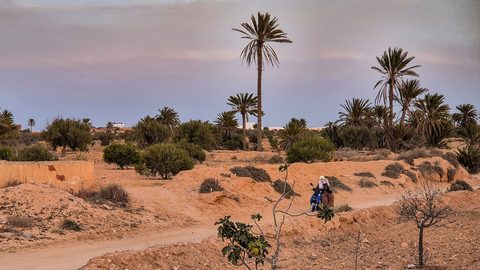 واردات تونس من الغاز الجزائري ترتفع بنسبة 23 بالمئة