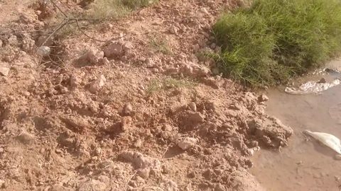 سجل انقطاع مفاجئ في التزود بالماء الصالح للشرب بعدد من معتمديات ولايات صفاقس وسيدي بوزيد والقيروان