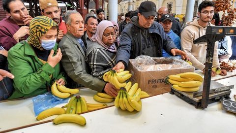 Campagne de surveillance économique à Nabeul saisit de grandes quantités de raisin et combat la hausse des prix