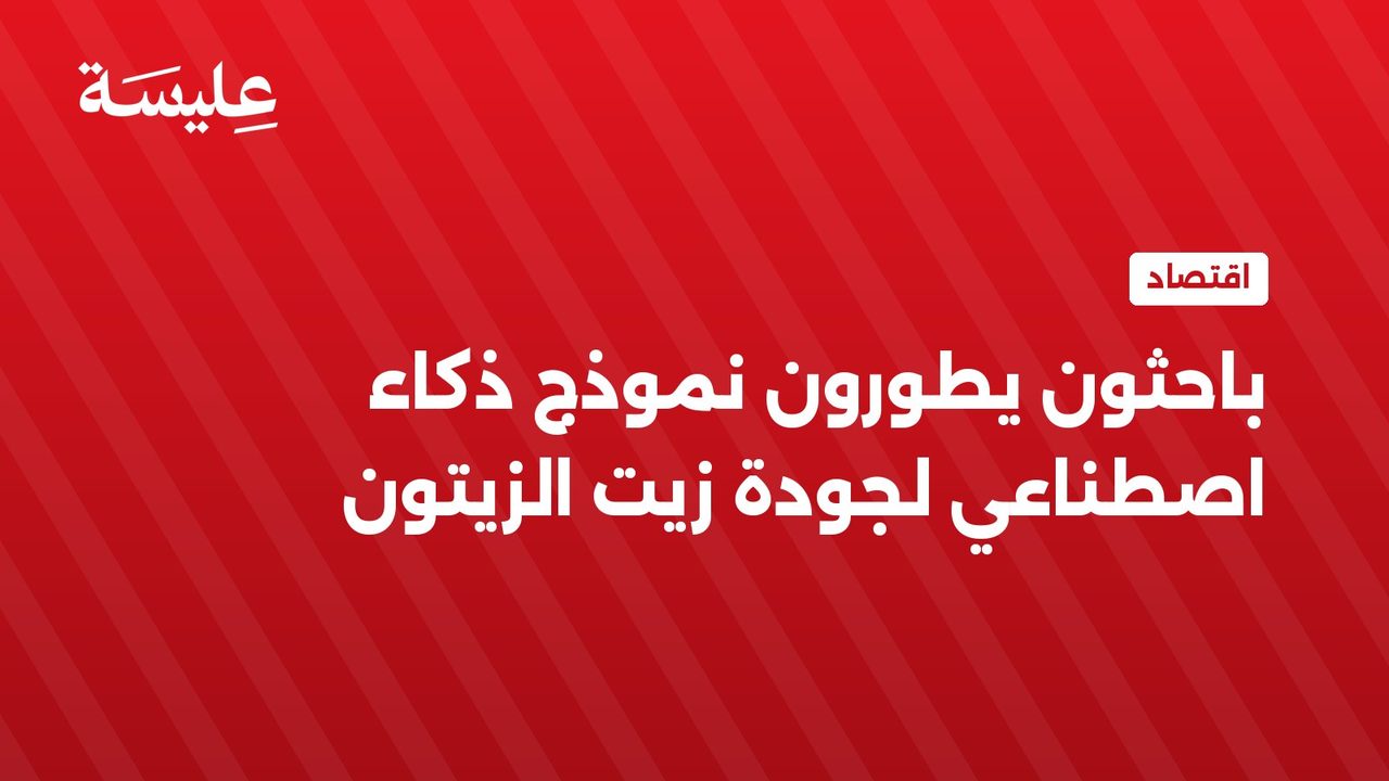باحثون يطورون نموذج ذكاء اصطناعي لجودة زيت الزيتون