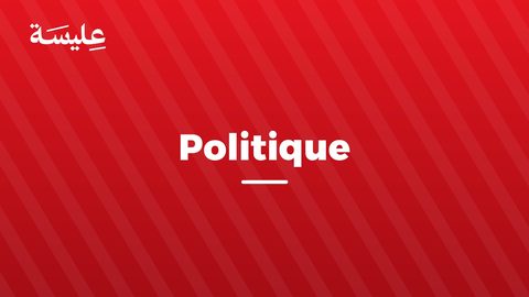 Elyssa révèle une réseau de pages influentes soutenant et opposant Saïd