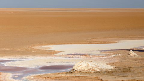 Le ministre de l'Agriculture discute de la coopération en matière d'eau lors de la Semaine de l'eau à Caire