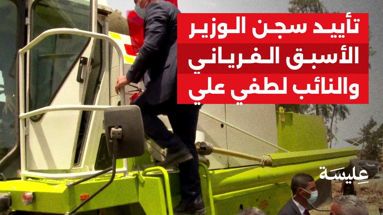 تأييد سجن الوزير الأسبق الفرياني والنائب لطفي علي